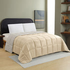 BEIGE/SILVER
